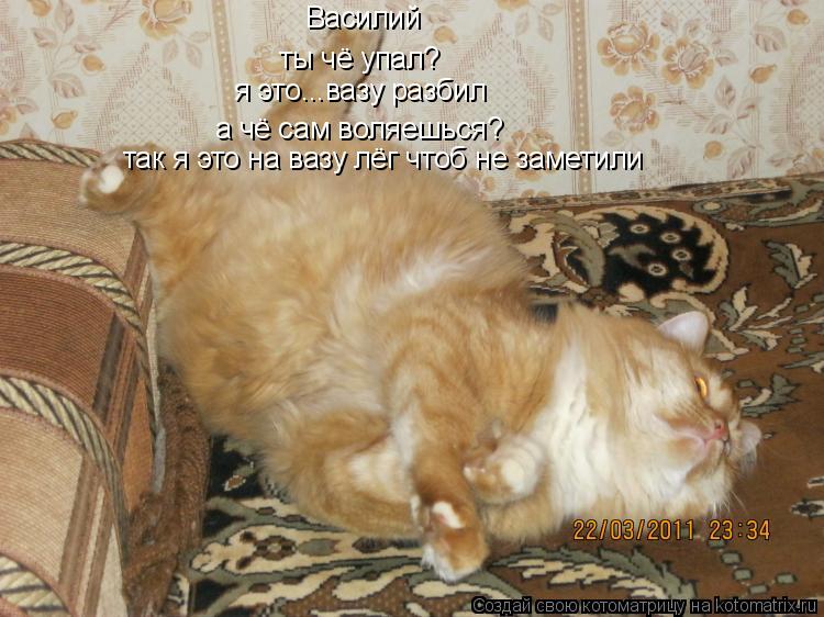 Котоматрица: Василий  ты чё упал? я это...вазу разбил а чё сам воляешься? так я это на вазу лёг чтоб не заметили