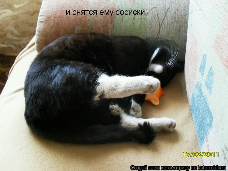 Котоматрица: и снятся ему сосиски..