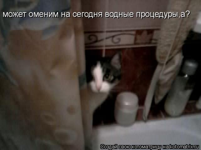 Котоматрица: может оменим на сегодня водные процедуры,а?