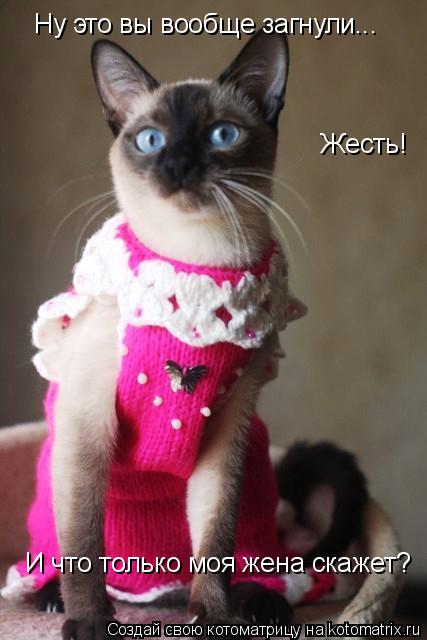 Котоматрица: Ну это вы вообще загнули... Жесть! И что только моя жена скажет?