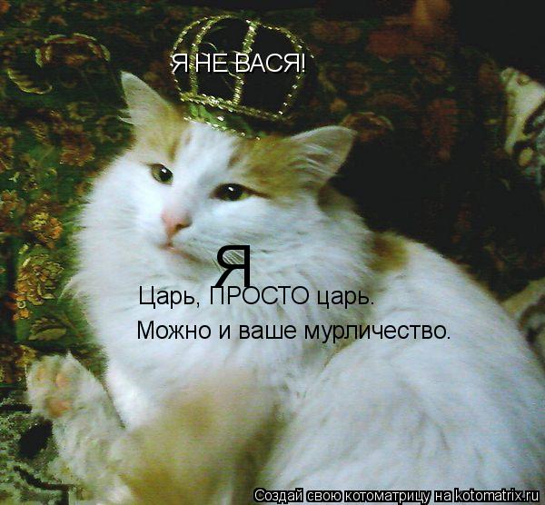 Котоматрица: Я НЕ ВАСЯ! Царь, ПРОСТО царь. Можно и ваше мурличество. Я