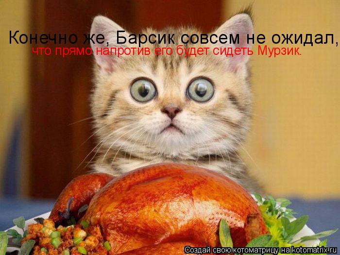 Котоматрица: Конечно же, Барсик совсем не ожидал, что прямо напротив его будет сидеть Мурзик.