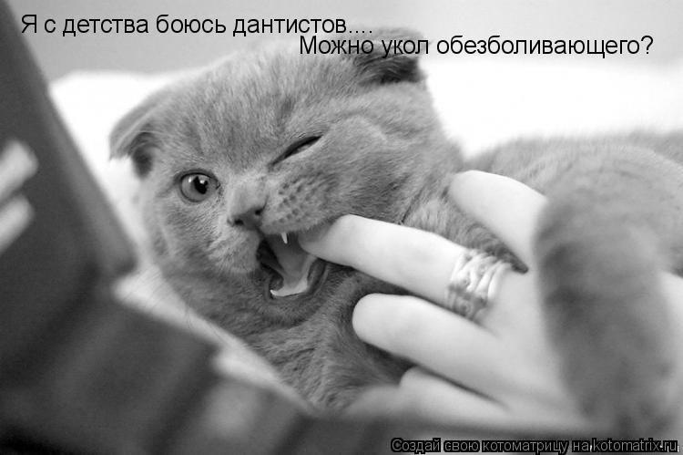 Котоматрица: Я с детства боюсь дантистов....  Можно укол обезболивающего?