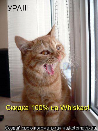 Котоматрица: УРА!!! Скидка 100% на Whiskas!