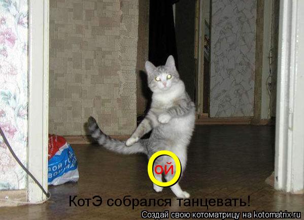 Котоматрица: КотЭ собрался танцевать! О ой