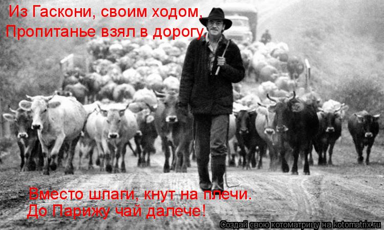 Котоматрица: Из Гаскони, своим ходом, Пропитанье взял в дорогу. Вместо шпаги, кнут на плечи. До Парижу чай далече!
