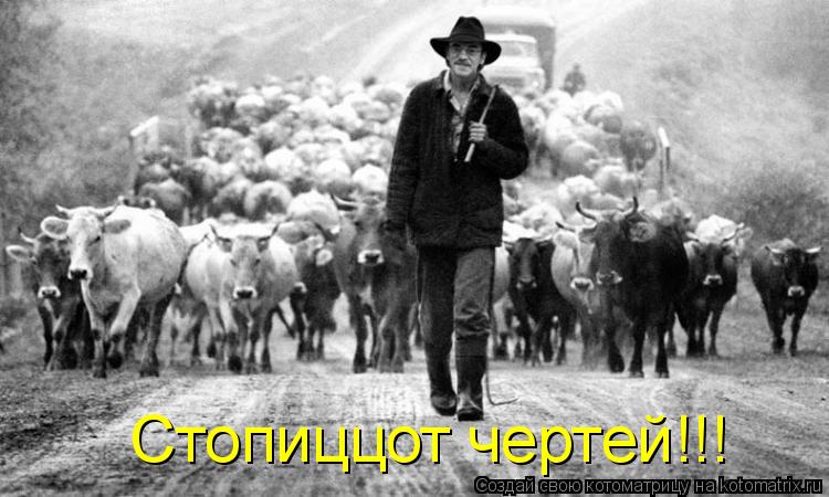 Котоматрица: Стопиццот чертей!!!