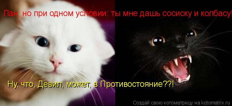 Ну, что, Девил, может, в Противостояние??! Лан, но при одном условии: ты мне дашь сосиску и колбасу!!... Котоматрица: Ну, что, Девил, может, в Противостояние??! Лан, но при одном условии: ты мне дашь сосиску и колбасу!!!!