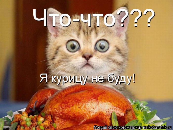 Котоматрица: Что-что??? Я курицу не буду!