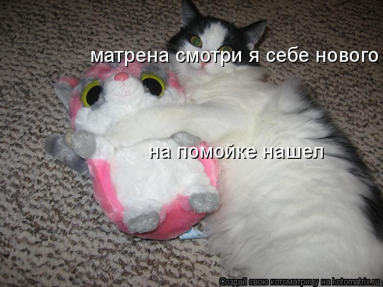 Котоматрица: матрена смотри я себе нового  на помойке нашел