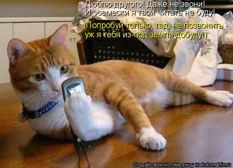 Котоматрица: Люблю другого! Даже не звони! И эсемески я твои читать не буду! (Попробуй только, гад, не позвонить - уж я тебя из-под земли добуду!)