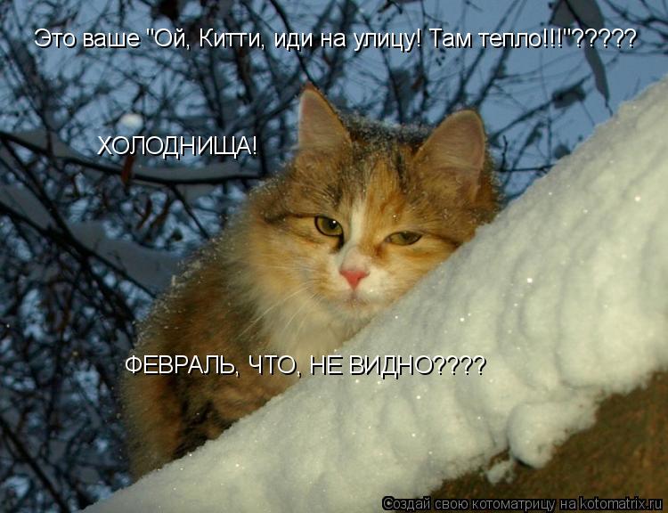 Котоматрица: Это ваше "Ой, Китти, иди на улицу! Там тепло!!!"?????  ХОЛОДНИЩА! ФЕВРАЛЬ, ЧТО, НЕ ВИДНО????