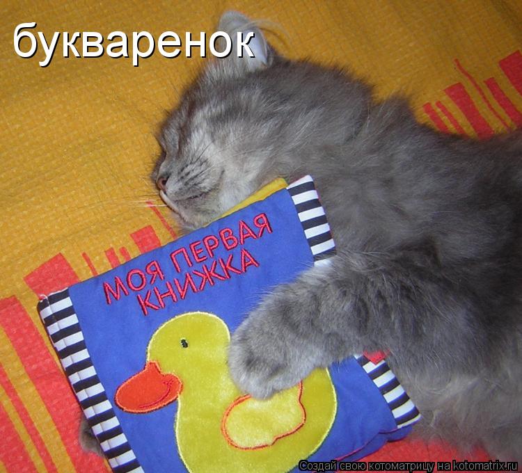 букваренок... Котоматрица: букваренок