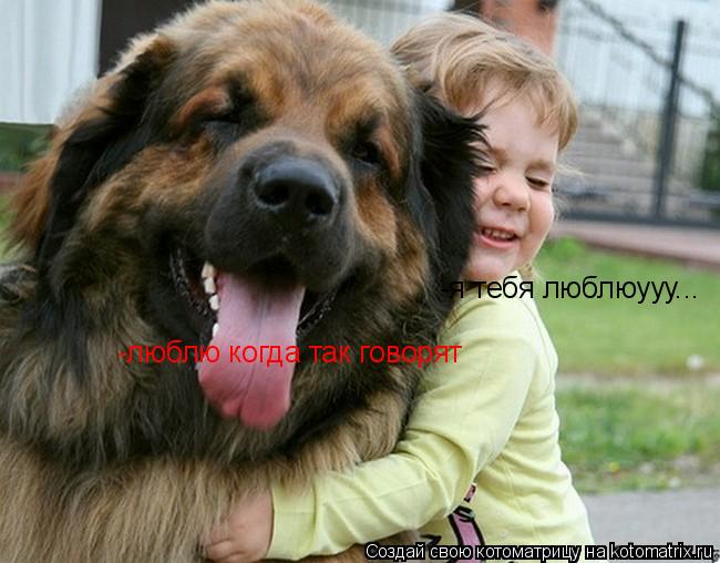 -я тебя люблюууу... -люблю когда так говорят... Котоматрица: -я тебя люблюууу... -люблю когда так говорят