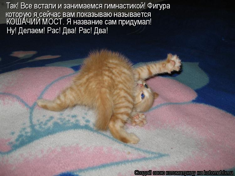 Так! Все встали и занимаемся гимнастикой! Фигура которую я сейчас Так! Все встали и занимаемся гимнас... Котоматрица: Так! Все встали и занимаемся гимнастикой! Фигура которую я сейчас Так! Все встали и занимаемся гимнастикой! Фигура которую я сейчас вам пока