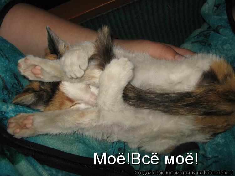 Моё!Всё моё!... Котоматрица: Моё!Всё моё!