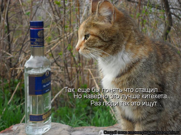 Котоматрица: Так, еще бы понять что стащил... Но наверно это лучше китекета... Раз люди так это ищут...