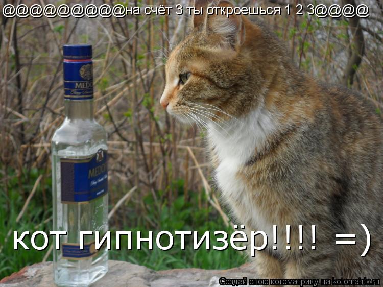 Котоматрица: @@@@@@@@@на счёт 3 ты откроешься 1 2 3@@@@ кот гипнотизёр!!!! =)