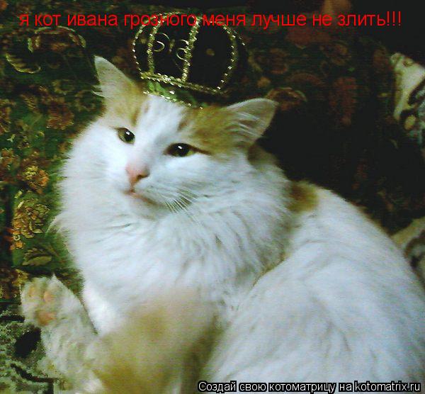 я кот ивана грозного меня лучше не злить!!!... Котоматрица: я кот ивана грозного меня лучше не злить!!!