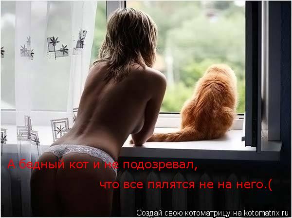 Котоматрица: А бедный кот и не подозревал, что все пялятся не на него! А бедный кот и не подозревал,  что все пялятся не на него.(