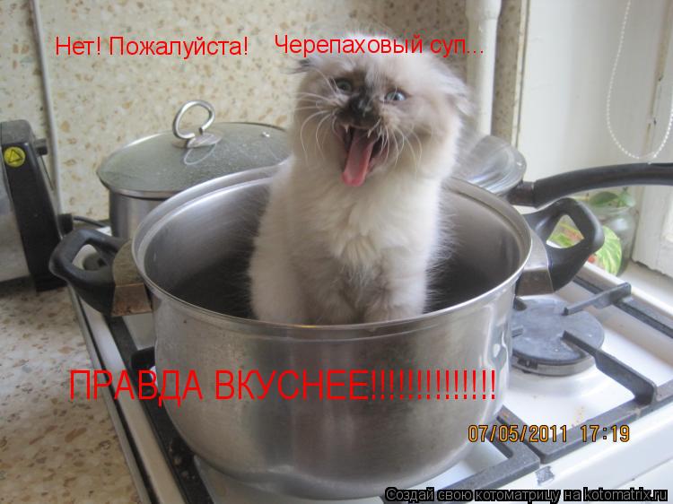 Нет! Пожалуйста! Черепаховый суп... ПРАВДА ВКУСНЕЕ!!!!!!!!!!!!!!... Котоматрица: Нет! Пожалуйста! Черепаховый суп... ПРАВДА ВКУСНЕЕ!!!!!!!!!!!!!!
