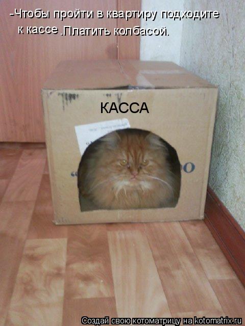 -Чтобы пройти в квартиру подходите к кассе .Платить колбасой. КАССА... Котоматрица: -Чтобы пройти в квартиру подходите к кассе .Платить колбасой. КАССА