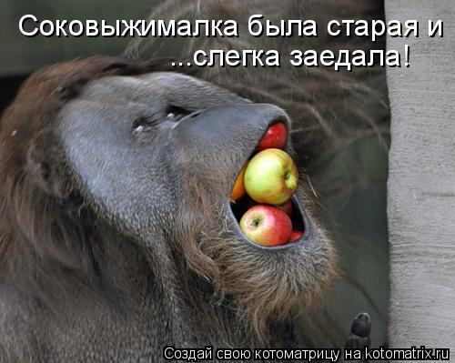 Соковыжималка была старая и ...слегка заедала!... Котоматрица: Соковыжималка была старая и ...слегка заедала!