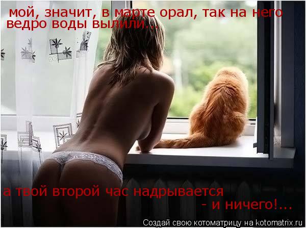 мой, значит, в марте орал, так на него ведро воды вылили... а твой второй час надрывается - и ничего... Котоматрица: мой, значит, в марте орал, так на него ведро воды вылили... а твой второй час надрывается - и ничего!...