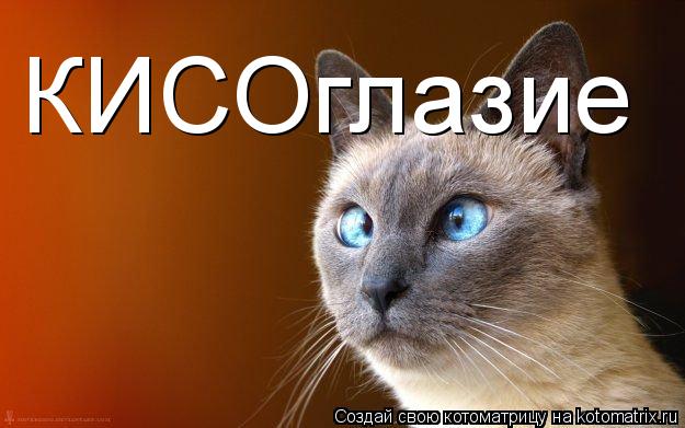 КИСОглазие... Котоматрица: КИСОглазие