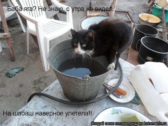 Котоматрица: Баба яга? Не знаю, с утра не видел.. На шабаш наверное улетела!!