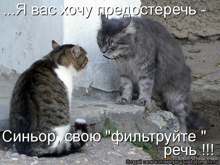 Котоматрица: ...Я вас хочу предостеречь - речь !!! Синьор, свою "фильтруйте "
