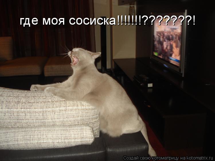 где моя сосиска!!!!!!!???????!... Котоматрица: где моя сосиска!!!!!!!???????!