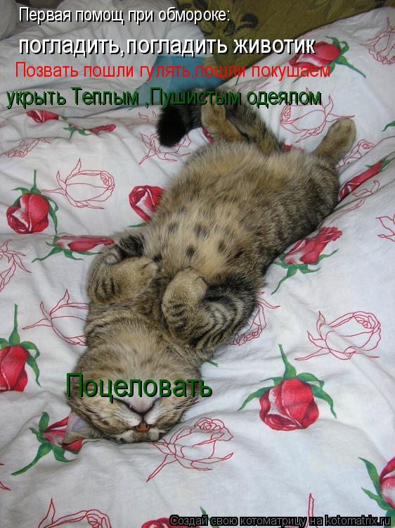 Котоматрица: погладить,погладить животик Позвать пошли гулять,пошли покушаем Первая помощ при обмороке: Поцеловать укрыть Теплым ,Пушистым одеялом