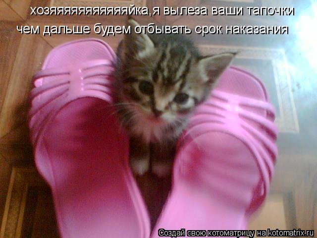 хозяяяяяяяяяяяйка,я вылеза ваши тапочки чем дальше будем отбывать срок наказания... Котоматрица: хозяяяяяяяяяяяйка,я вылеза ваши тапочки чем дальше будем отбывать срок наказания