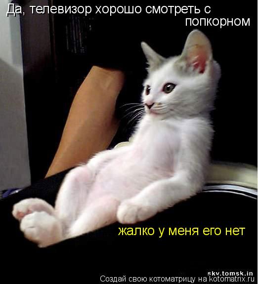 Да, телевизор хорошо смотреть с попкорном жалко у меня его нет... Котоматрица: Да, телевизор хорошо смотреть с попкорном жалко у меня его нет