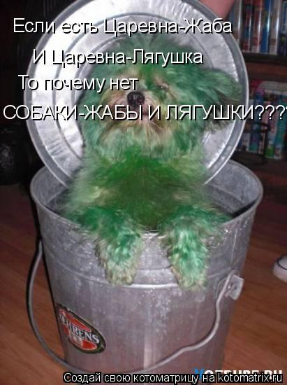 Если есть Царевна-Жаба И Царевна-Лягушка То почему нет СОБАКИ-ЖАБЫ И ЛЯГУШКИ????... Котоматрица: Если есть Царевна-Жаба И Царевна-Лягушка То почему нет СОБАКИ-ЖАБЫ И ЛЯГУШКИ????