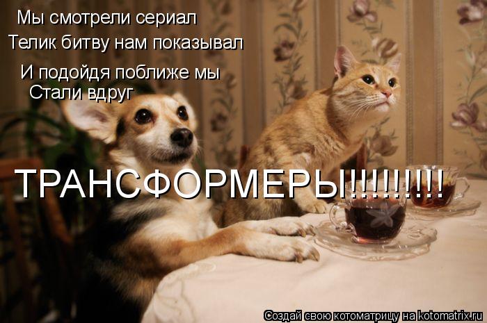 Мы смотрели сериал Телик битву нам показывал И подойдя поближе мы Стали вдруг ТРАНСФОРМЕРЫ!!!!!!!!!... Котоматрица: Мы смотрели сериал Телик битву нам показывал И подойдя поближе мы Стали вдруг ТРАНСФОРМЕРЫ!!!!!!!!!