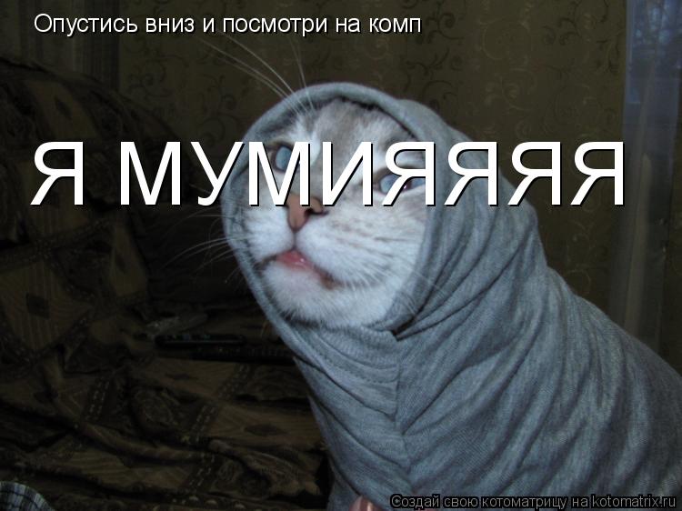 Опустись вниз и посмотри на комп Я МУМИЯЯЯЯ... Котоматрица: Опустись вниз и посмотри на комп Я МУМИЯЯЯЯ