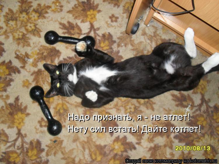 Котоматрица: Надо признать, я - не атлет! Нету сил встать! Дайте котлет!