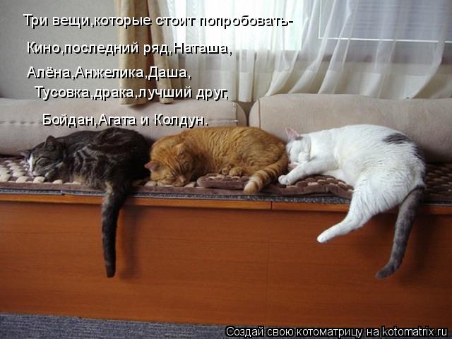 Котоматрица: Три вещи,которые стоит попробовать- Кино,последний ряд,Наташа, Алёна,Анжелика,Даша, Тусовка,драка,лучший друг, Бойдан,Агата и Колдун.