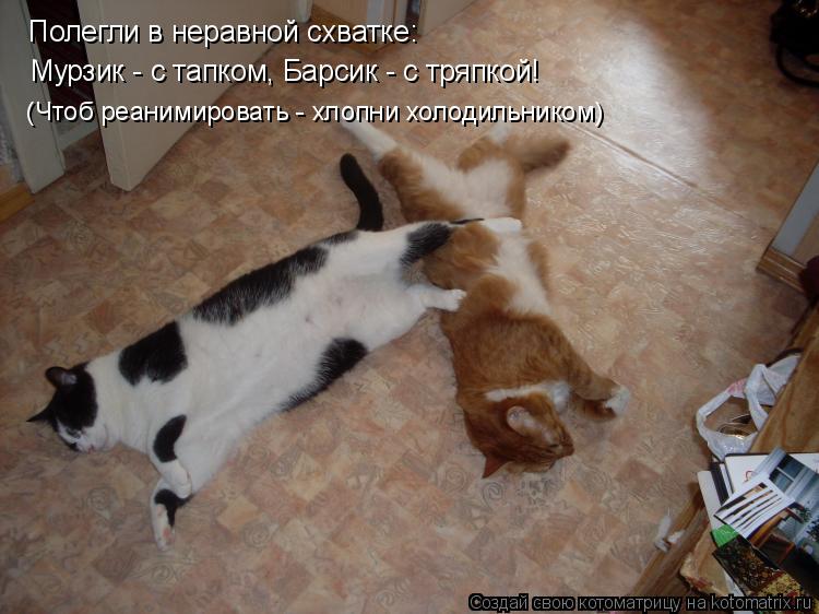 Котоматрица: Полегли в неравной схватке:  Мурзик - с тапком, Барсик - с тряпкой! (Чтоб реанимировать - хлопни холодильником)