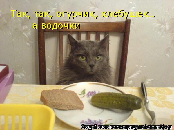 Котоматрица: Так, так, огурчик, хлебушек.. а водочки