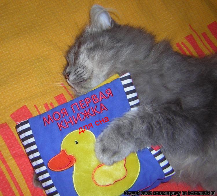 Котоматрица: для сна