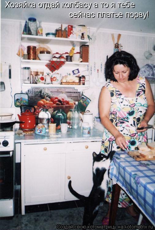 Котоматрица: Хозяйка отдай колбасу а то я тебе  сейчас платье порву!