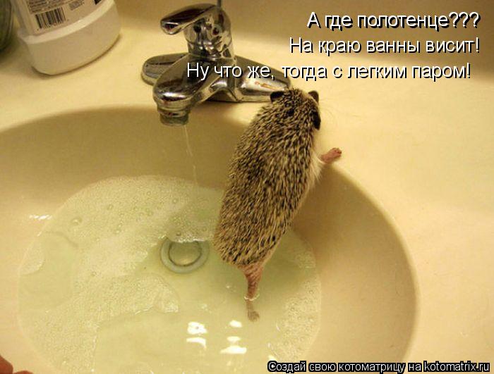 Котоматрица: А где полотенце???  А где полотенце???  А где полотенце???  На краю ванны висит! Ну что же, тогда с легким паром!