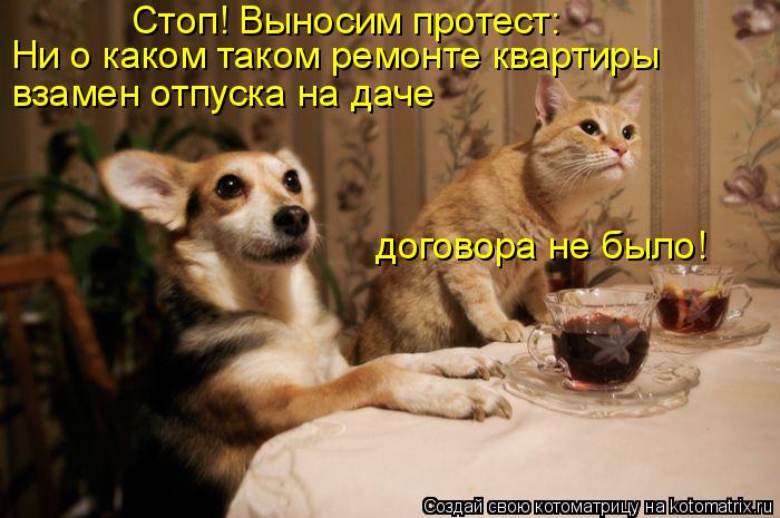 Котоматрица: Стоп! Выносим протест: Ни о каком таком ремонте квартиры взамен отпуска на даче договора не было!