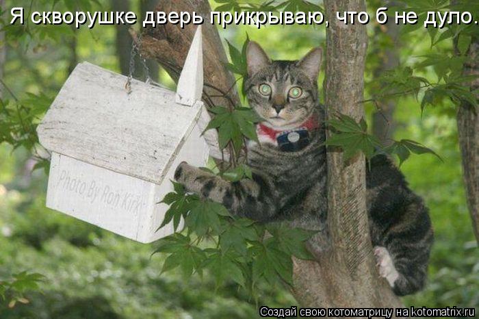 Я скворушке дверь прикрываю, что б не дуло.... Котоматрица: Я скворушке дверь прикрываю, что б не дуло.