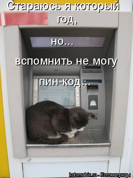 но... вспомнить не могу пин-код... Стараюсь я который год,... Котоматрица: но... вспомнить не могу пин-код... Стараюсь я который год,