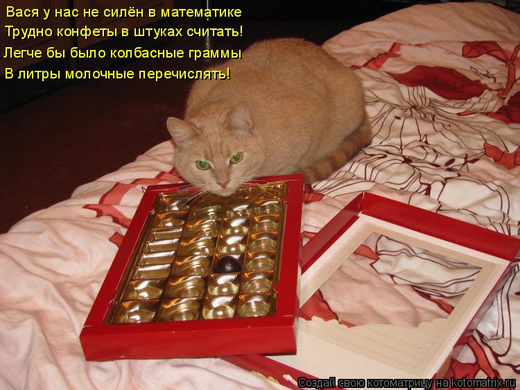 Вася у нас не силён в математике Трудно конфеты в штуках считать! Легче бы было колбасные граммы В ... Котоматрица: Вася у нас не силён в математике Трудно конфеты в штуках считать! Легче бы было колбасные граммы В литры молочные перечислять!