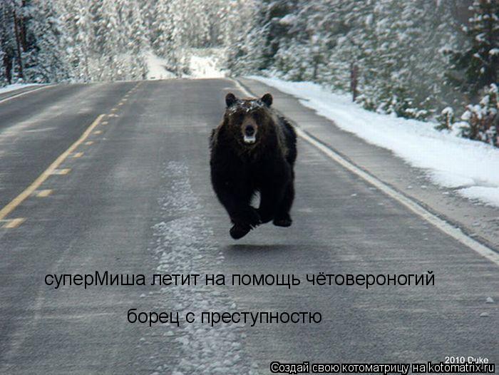 Котоматрица: суперМиша летит на помощь чётовероногий  борец с преступностю